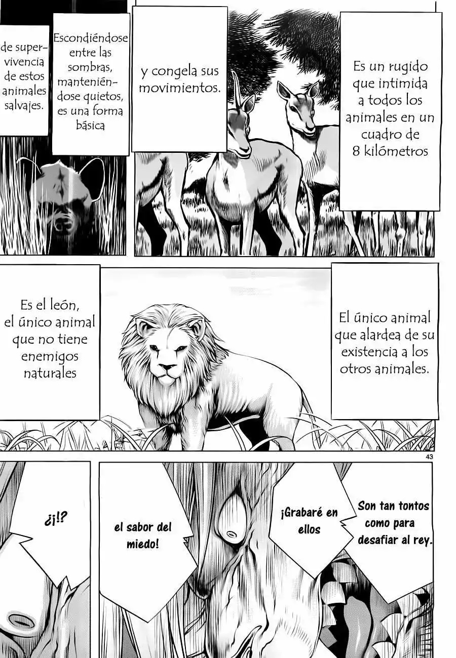 Página 41 del Manga