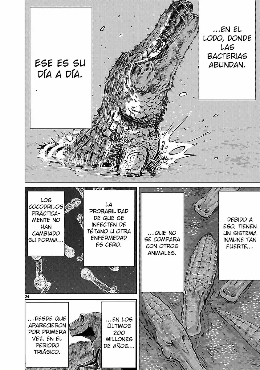 Página 24 del Manga