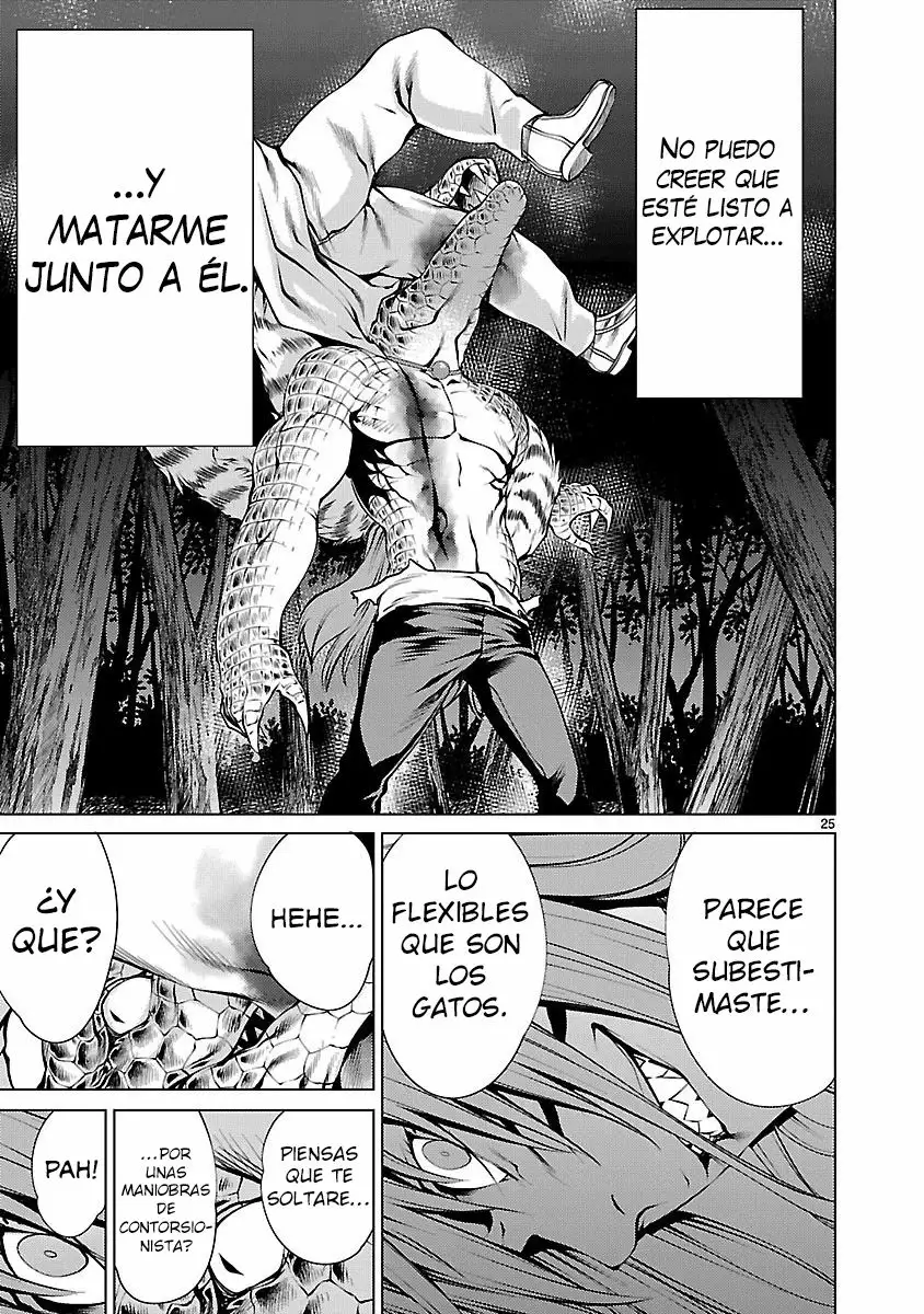 Página 25 del Manga