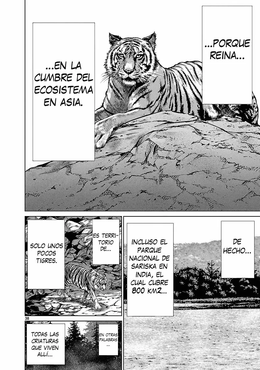 Página 38 del Manga