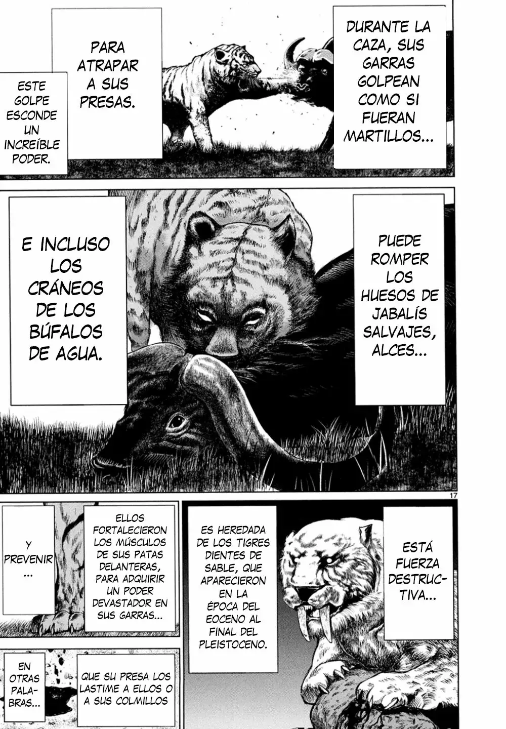 Página 17 del Manga