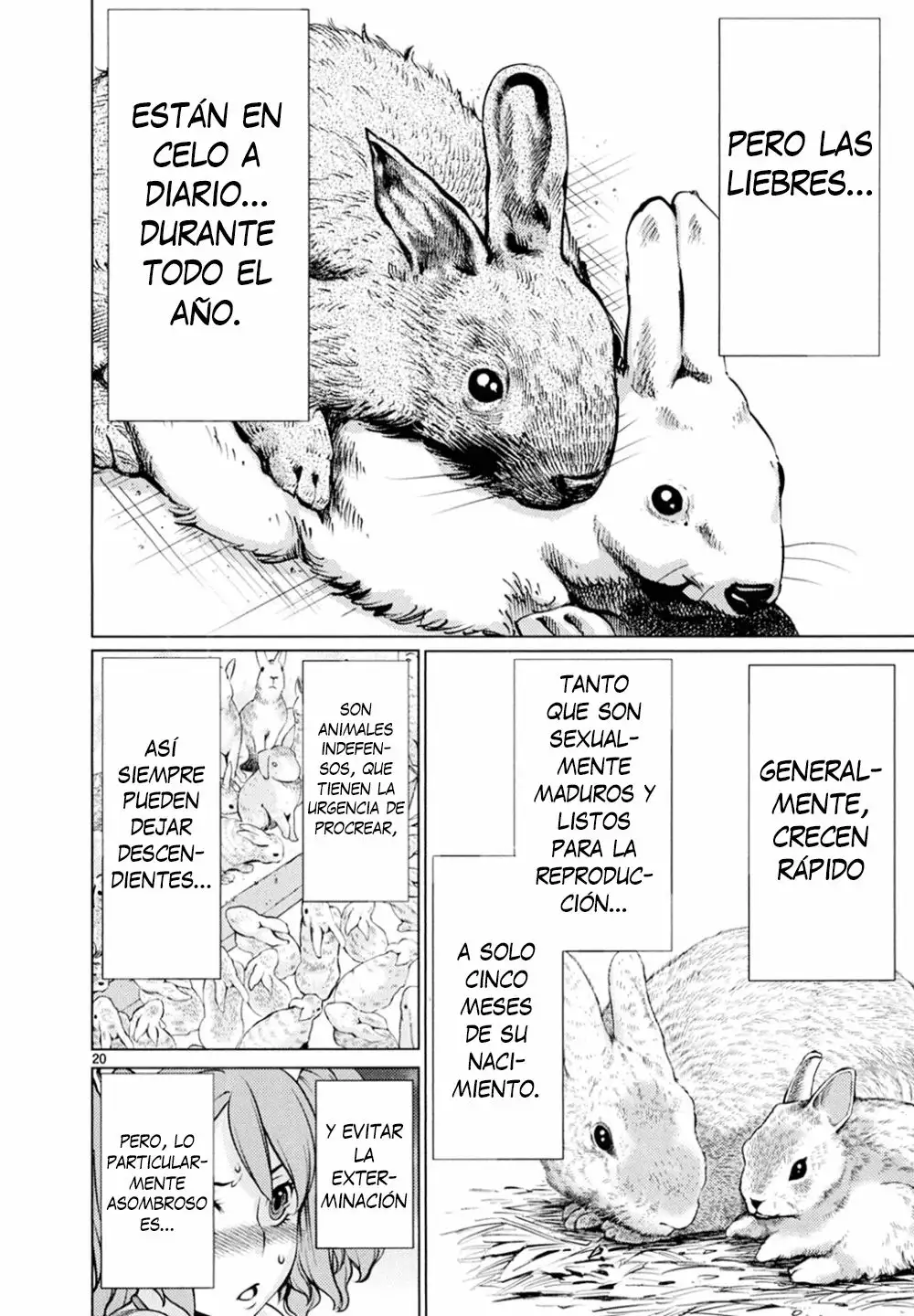 Página 21 del Manga