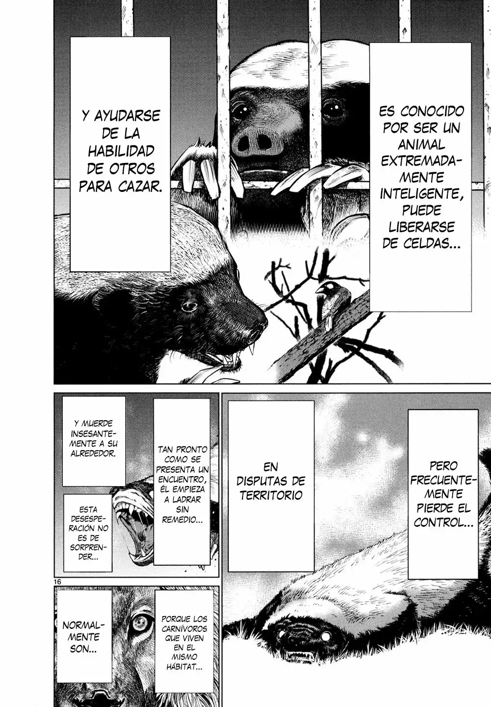 Página 16 del Manga