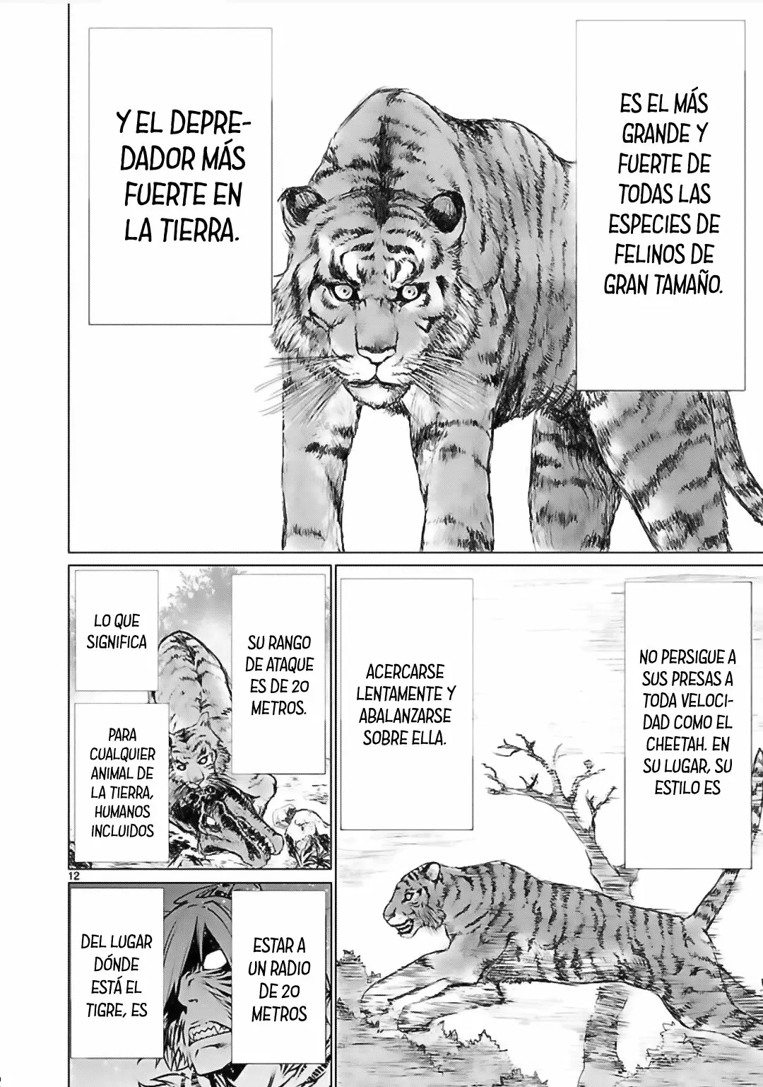 Página 14 del Manga