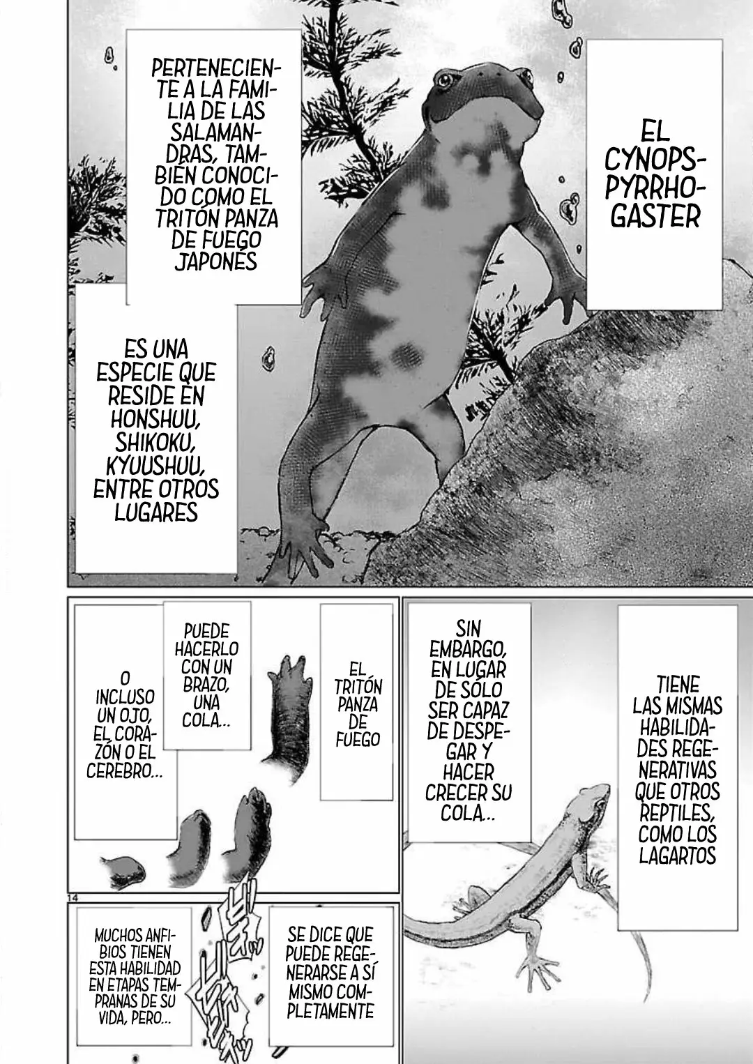 Página 18 del Manga