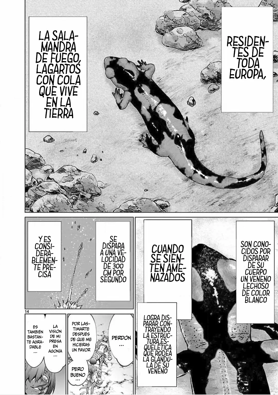Página 14 del Manga