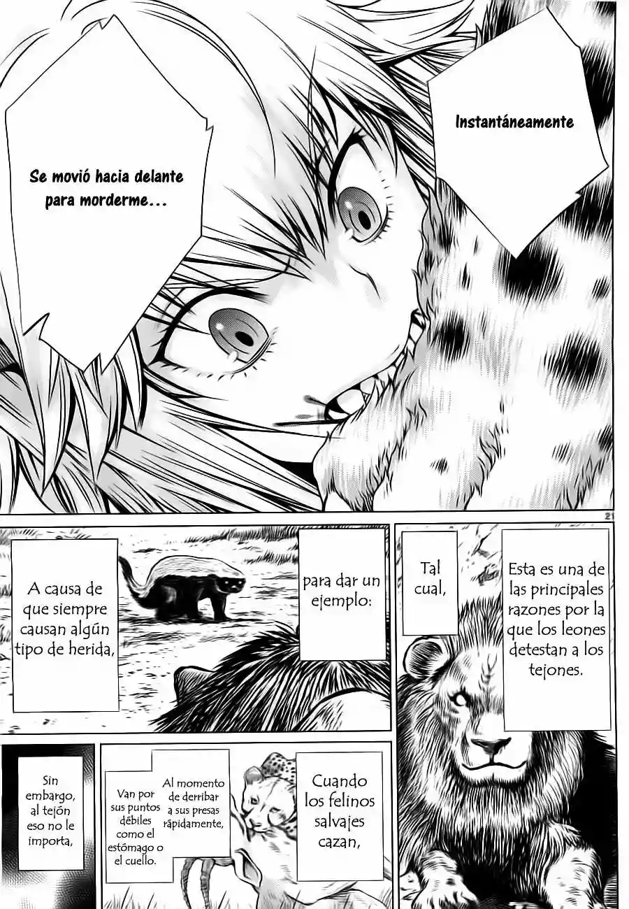 Página 21 del Manga