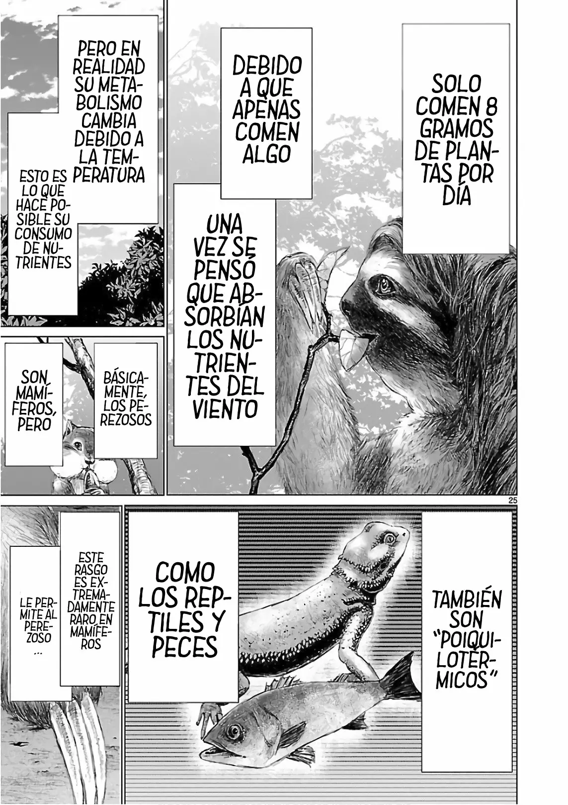 Página 26 del Manga