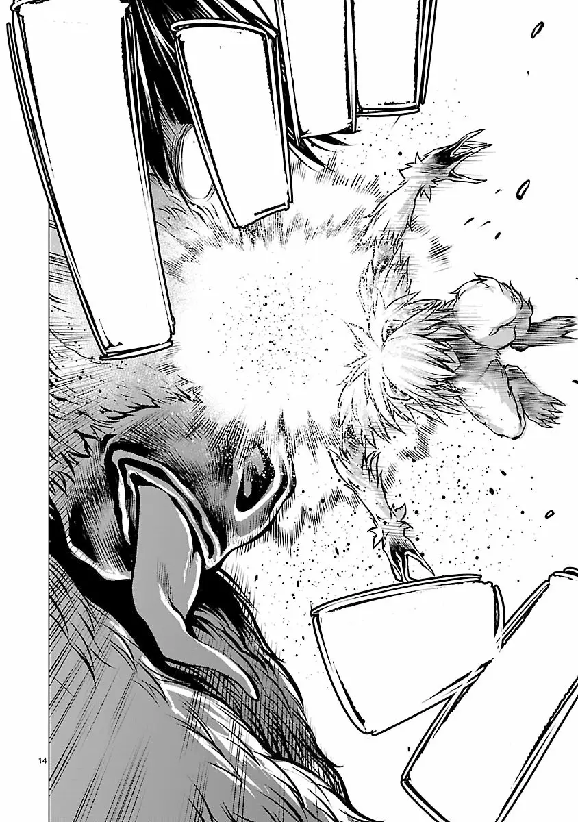 Página 14 del Manga