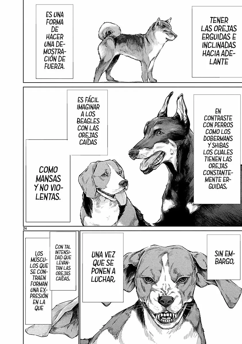 Página 26 del Manga