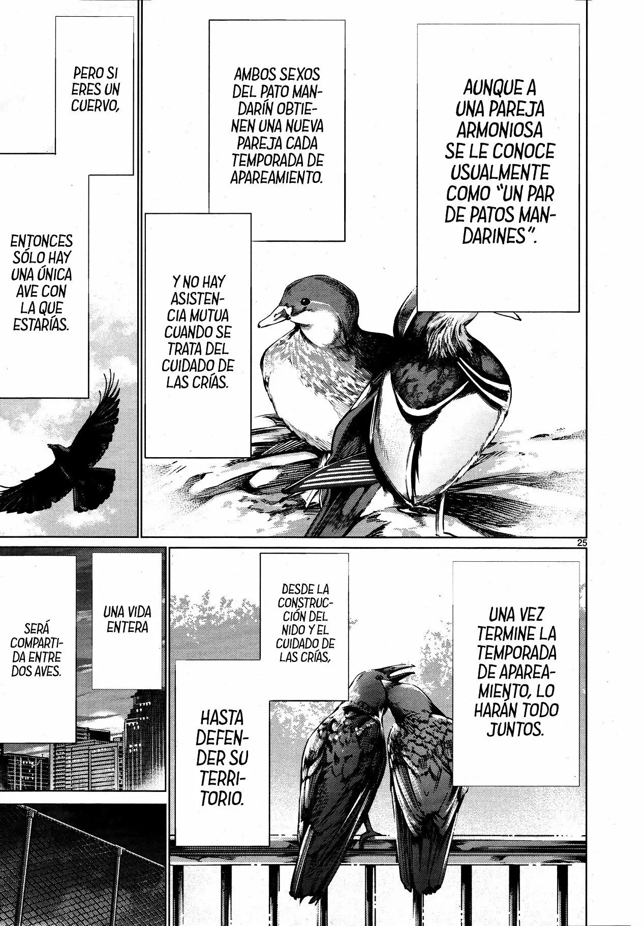 Página 27 del Manga