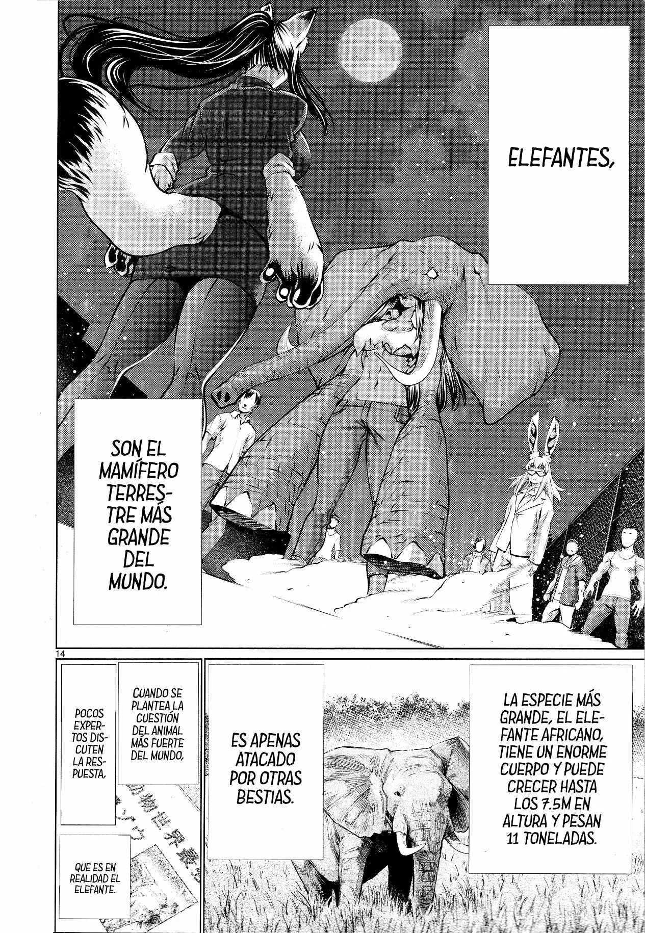 Página 14 del Manga