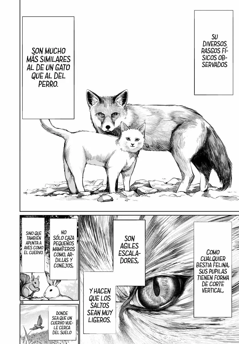 Página 26 del Manga