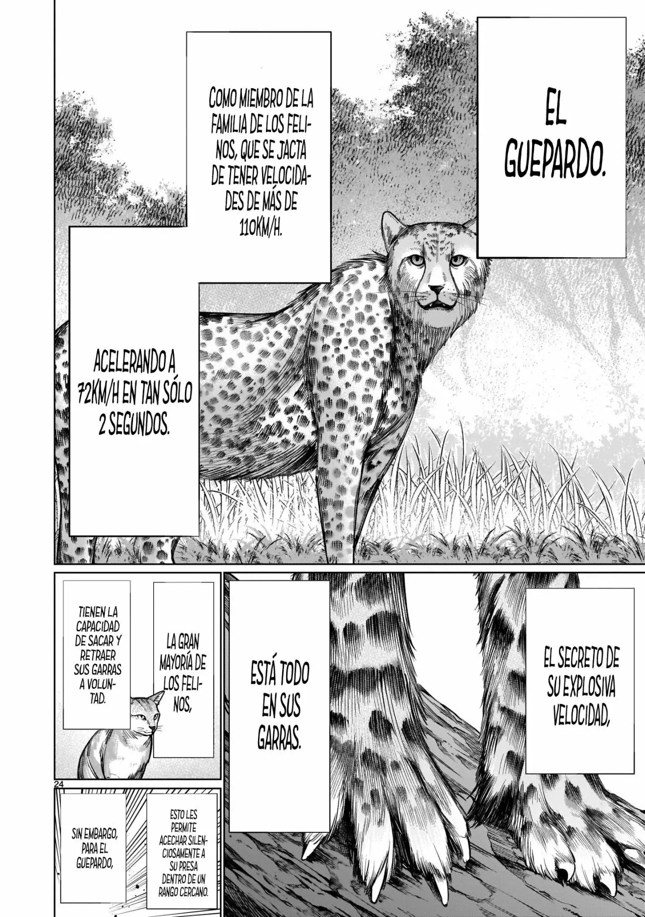 Página 25 del Manga