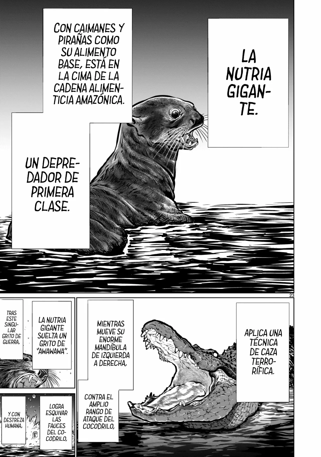 Página 23 del Manga