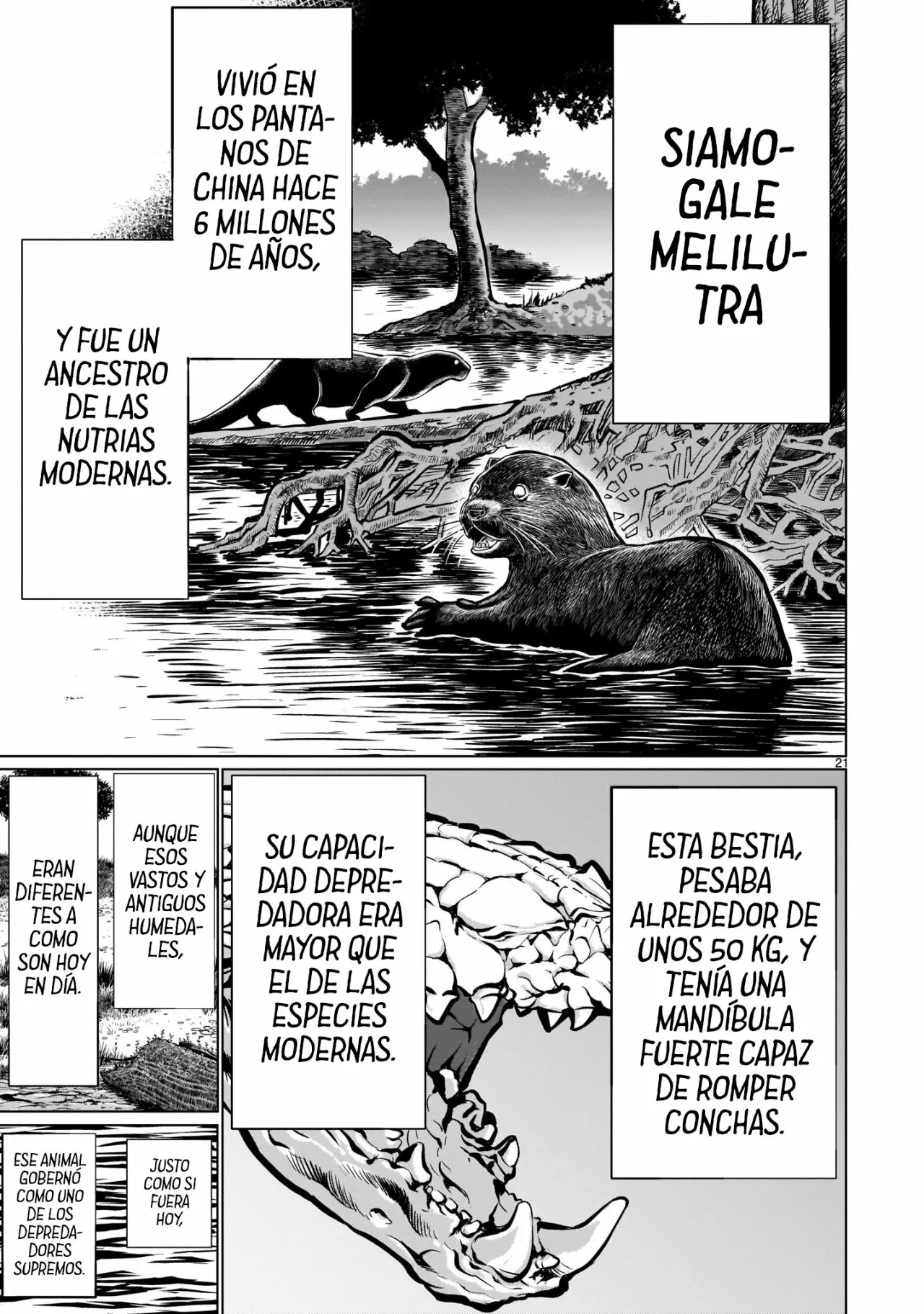Página 20 del Manga