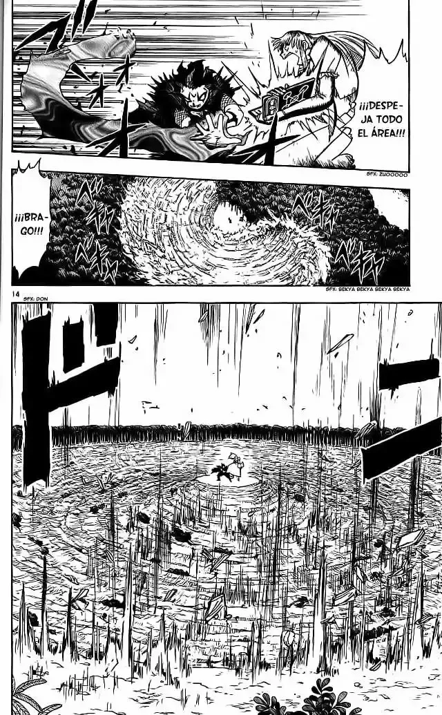 Página 14 del Manga