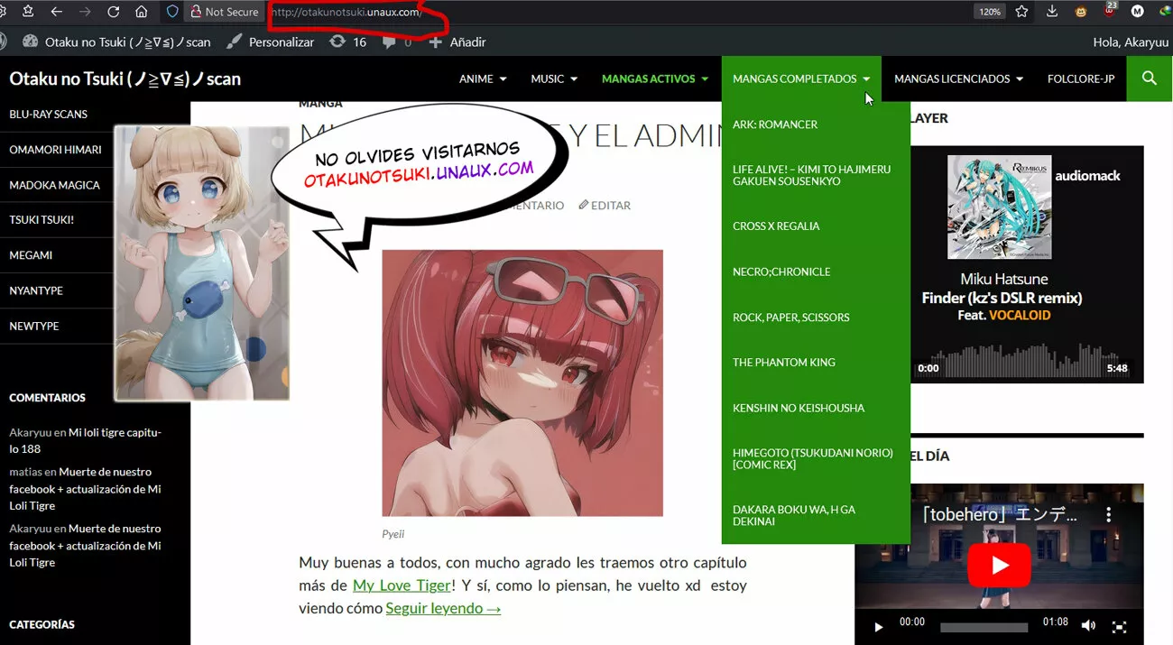 Página 17 del Manga