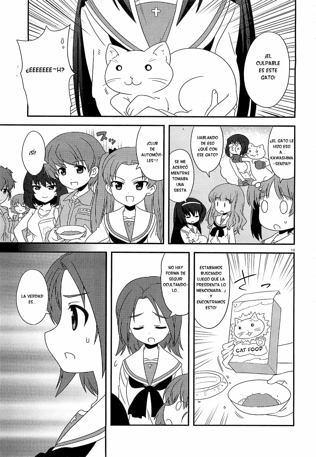 Página 13 del Manga