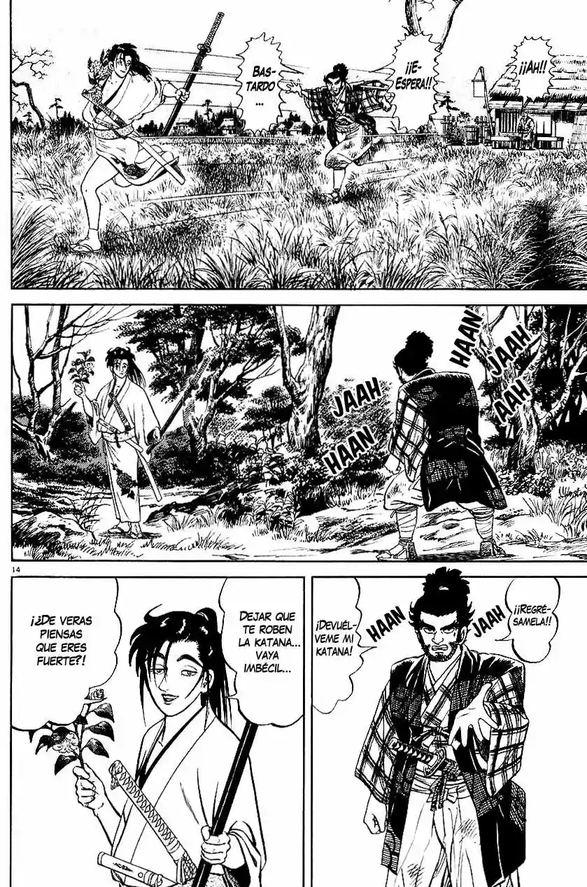 Página 14 del Manga