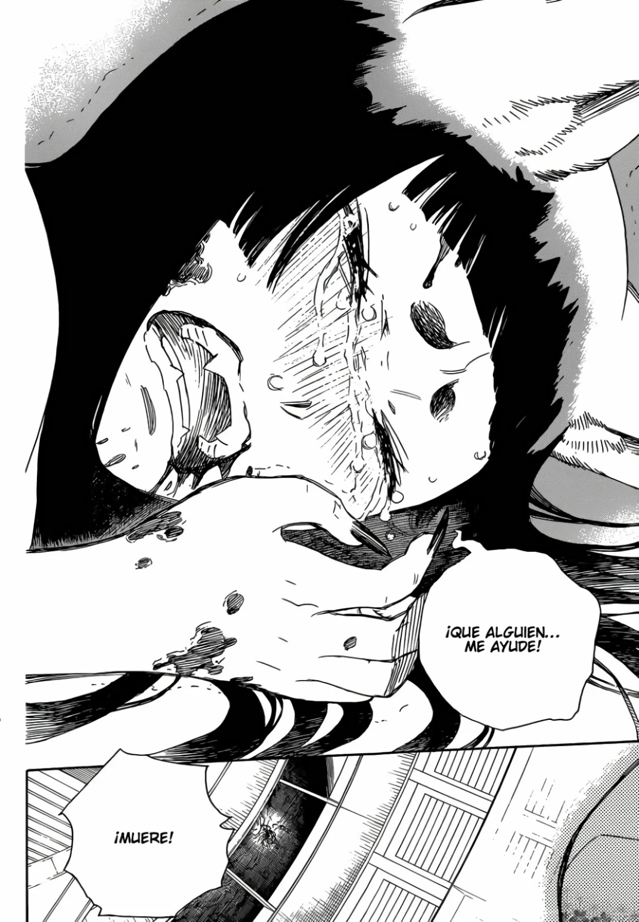 Página 29 del Manga
