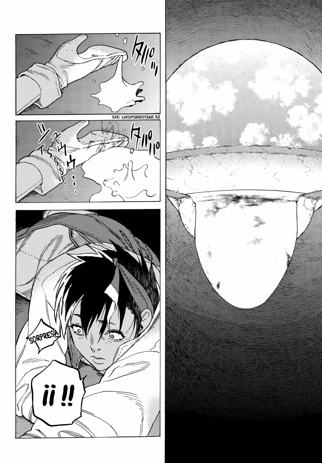 Página 13 del Manga