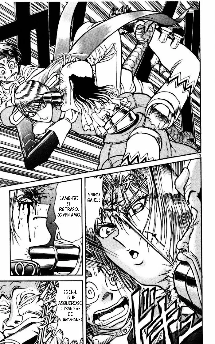 Página 13 del Manga