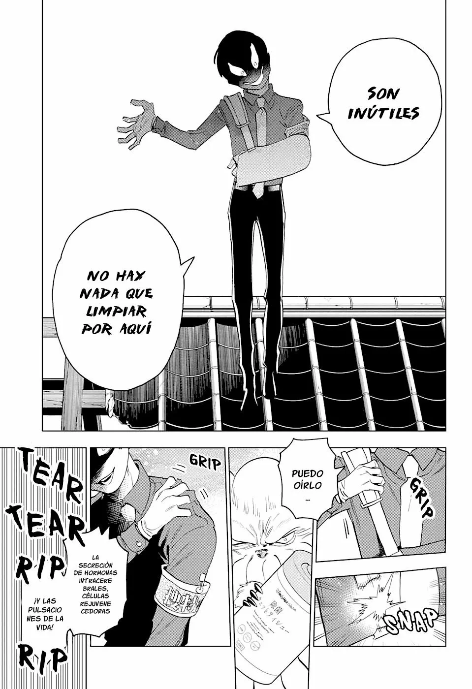Página 13 del Manga