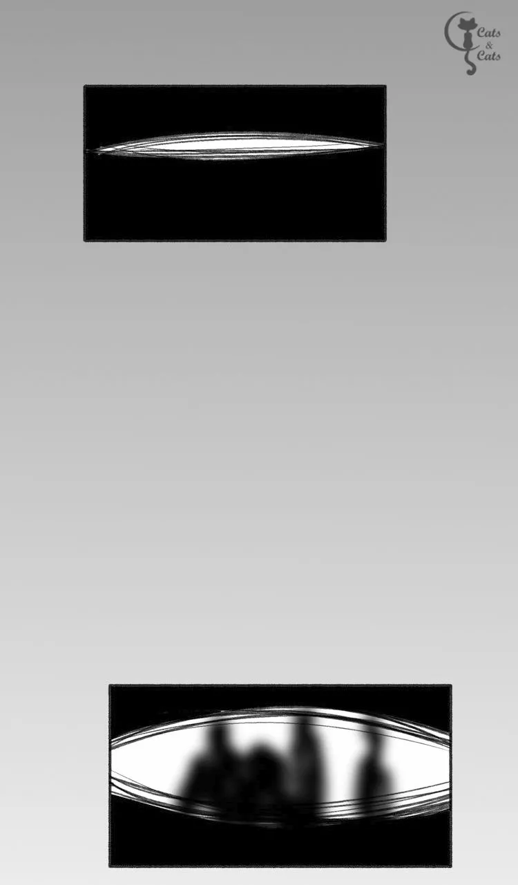 Página 68 del Manga