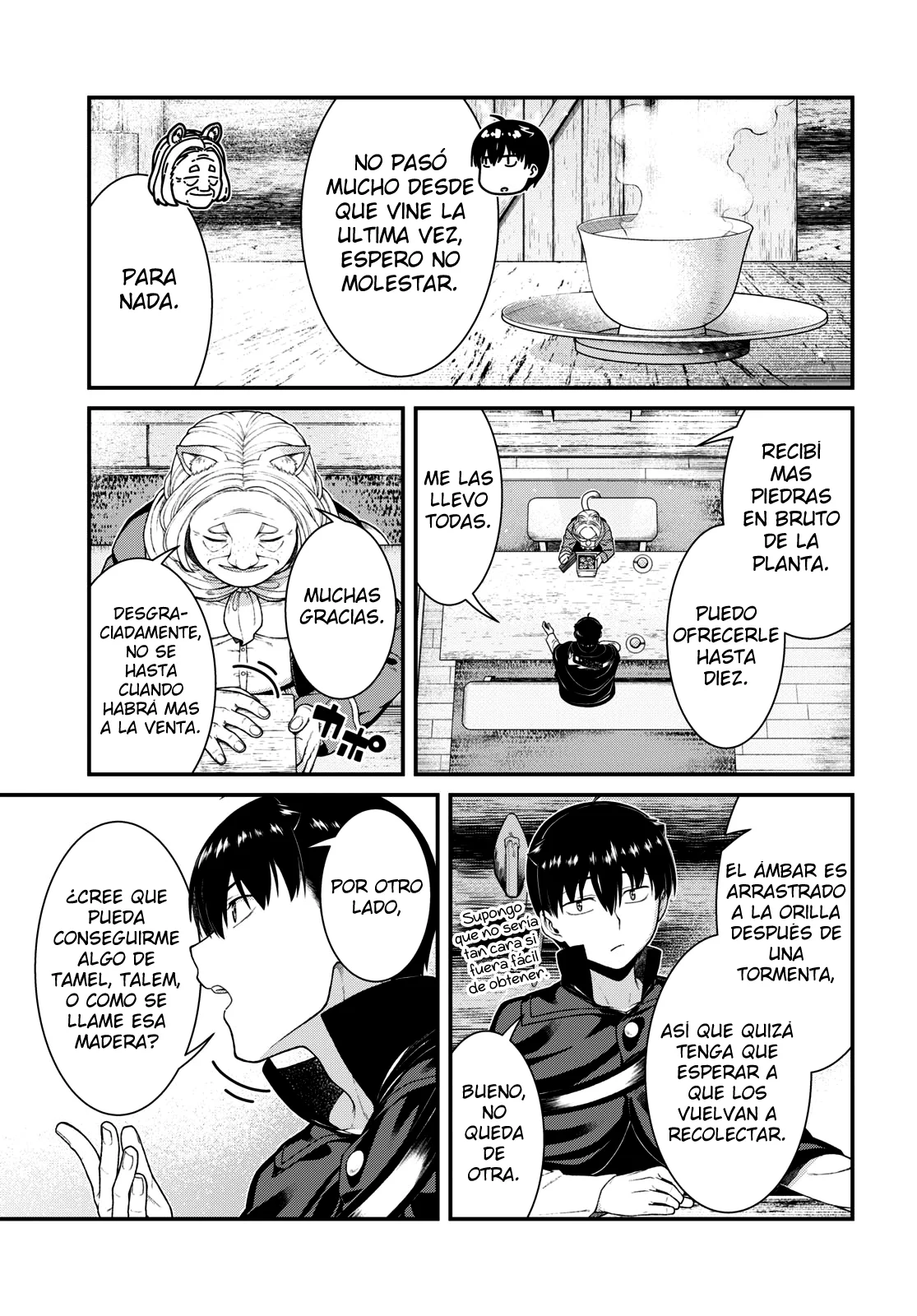 Página 13 del Manga