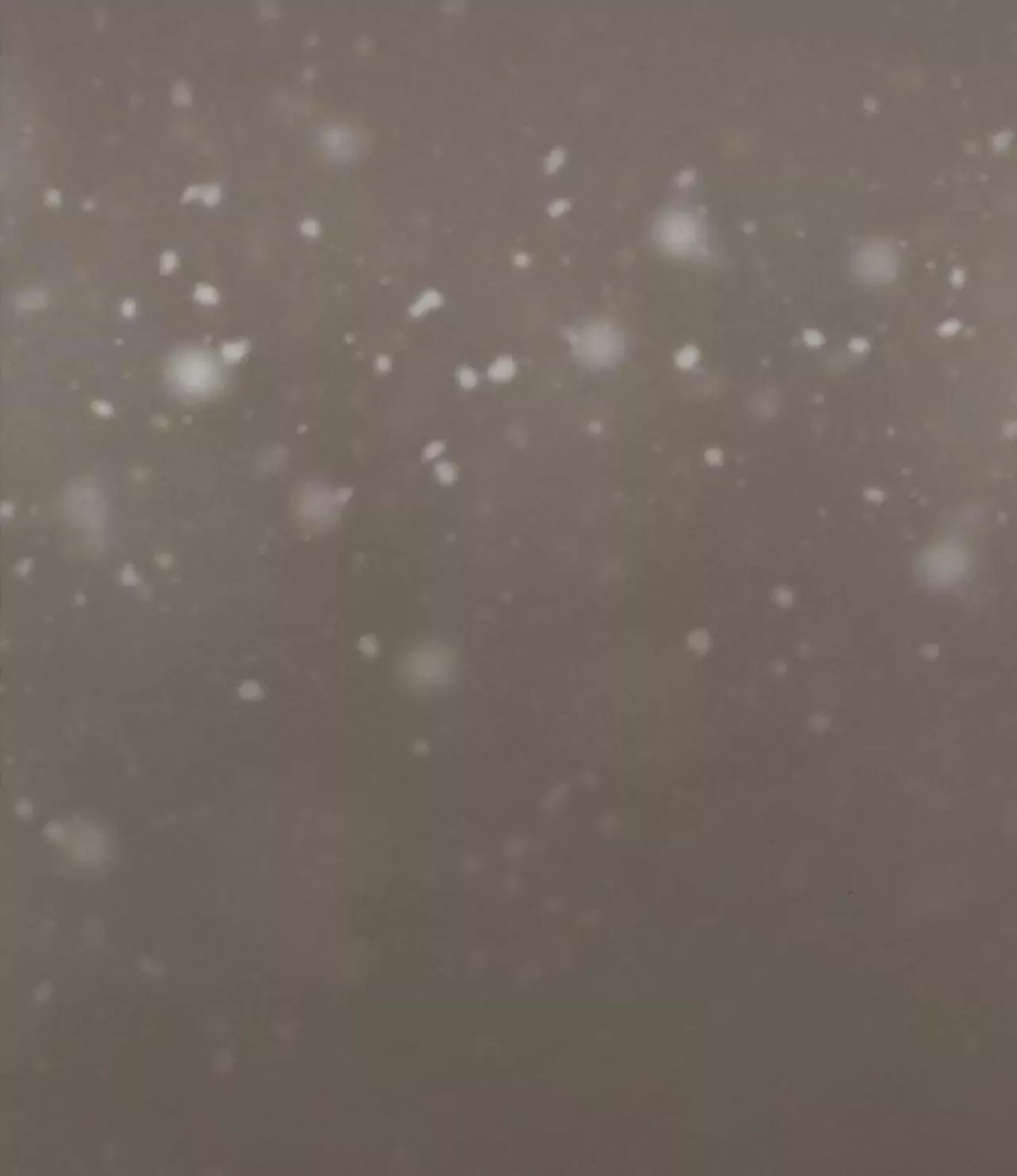 Página 76 del Manga