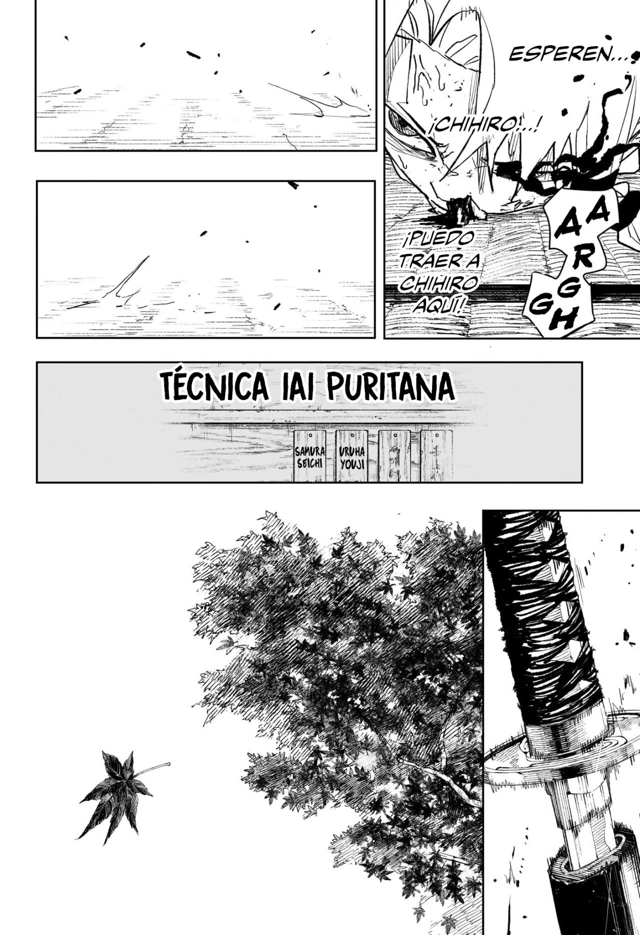 Página 14 del Manga