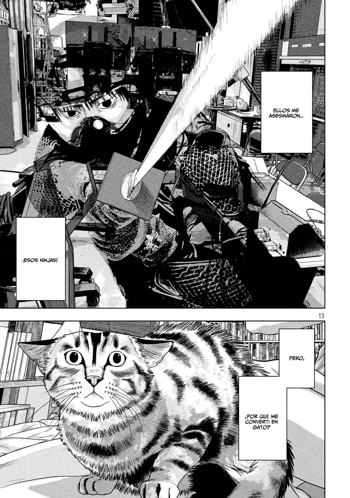 Página 14 del Manga