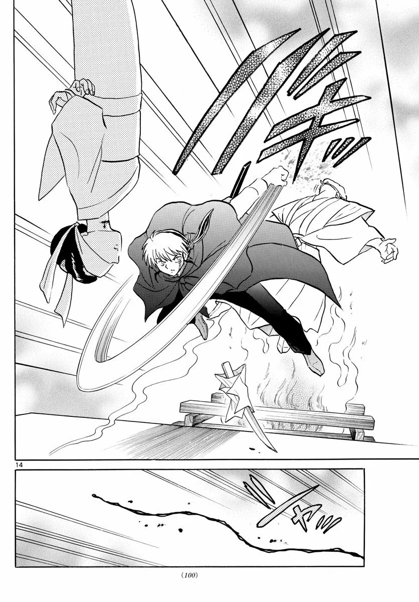 Página 14 del Manga