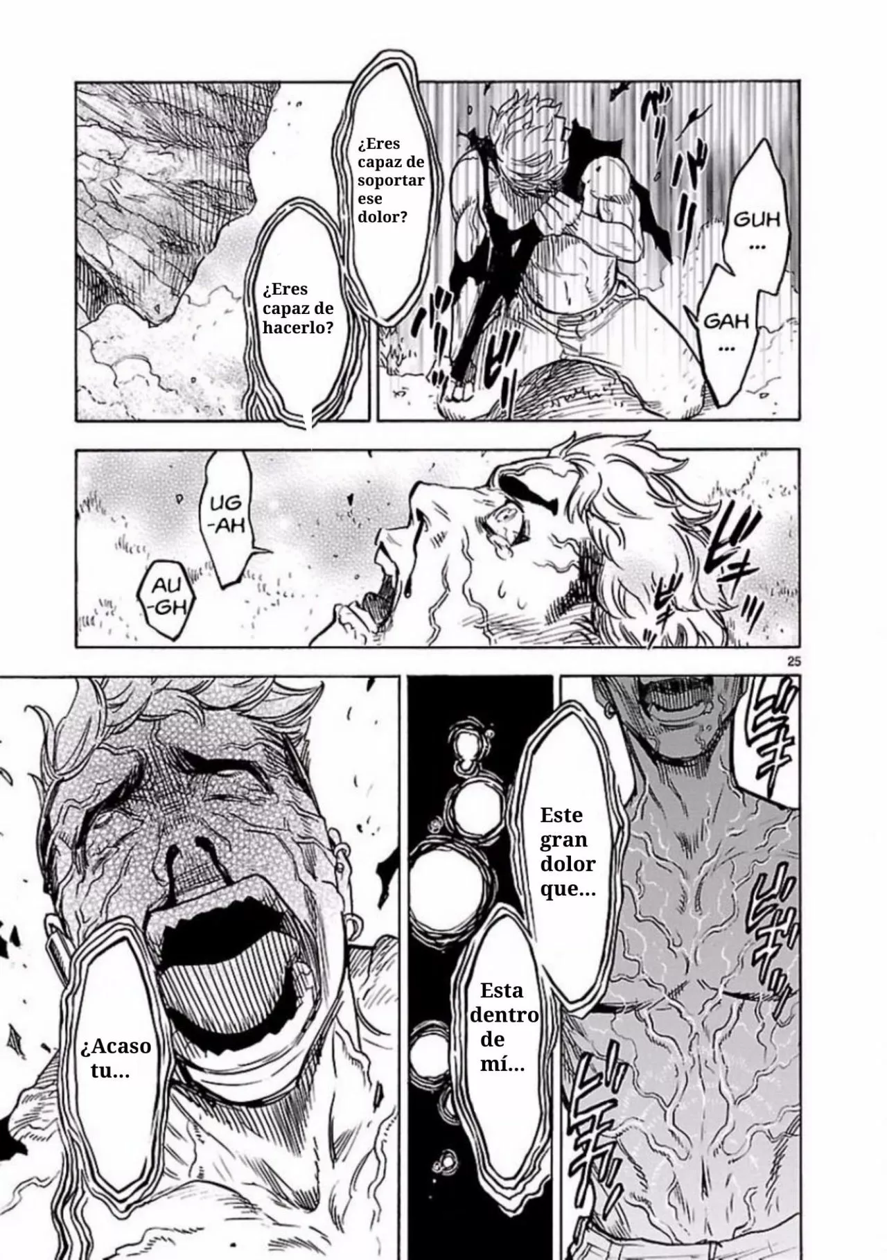Página 25 del Manga