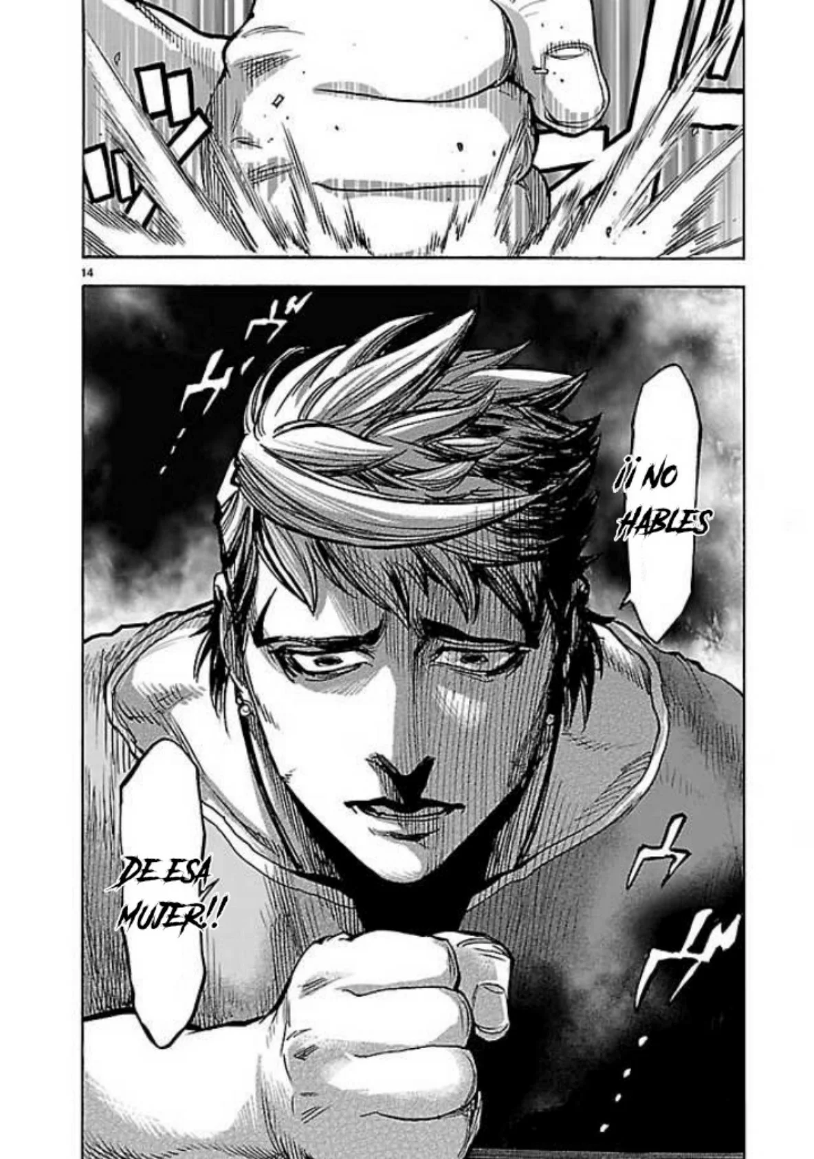 Página 14 del Manga