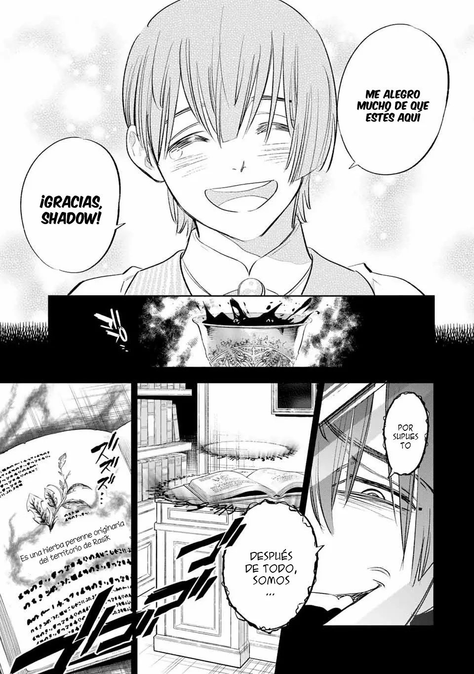 Página 13 del Manga