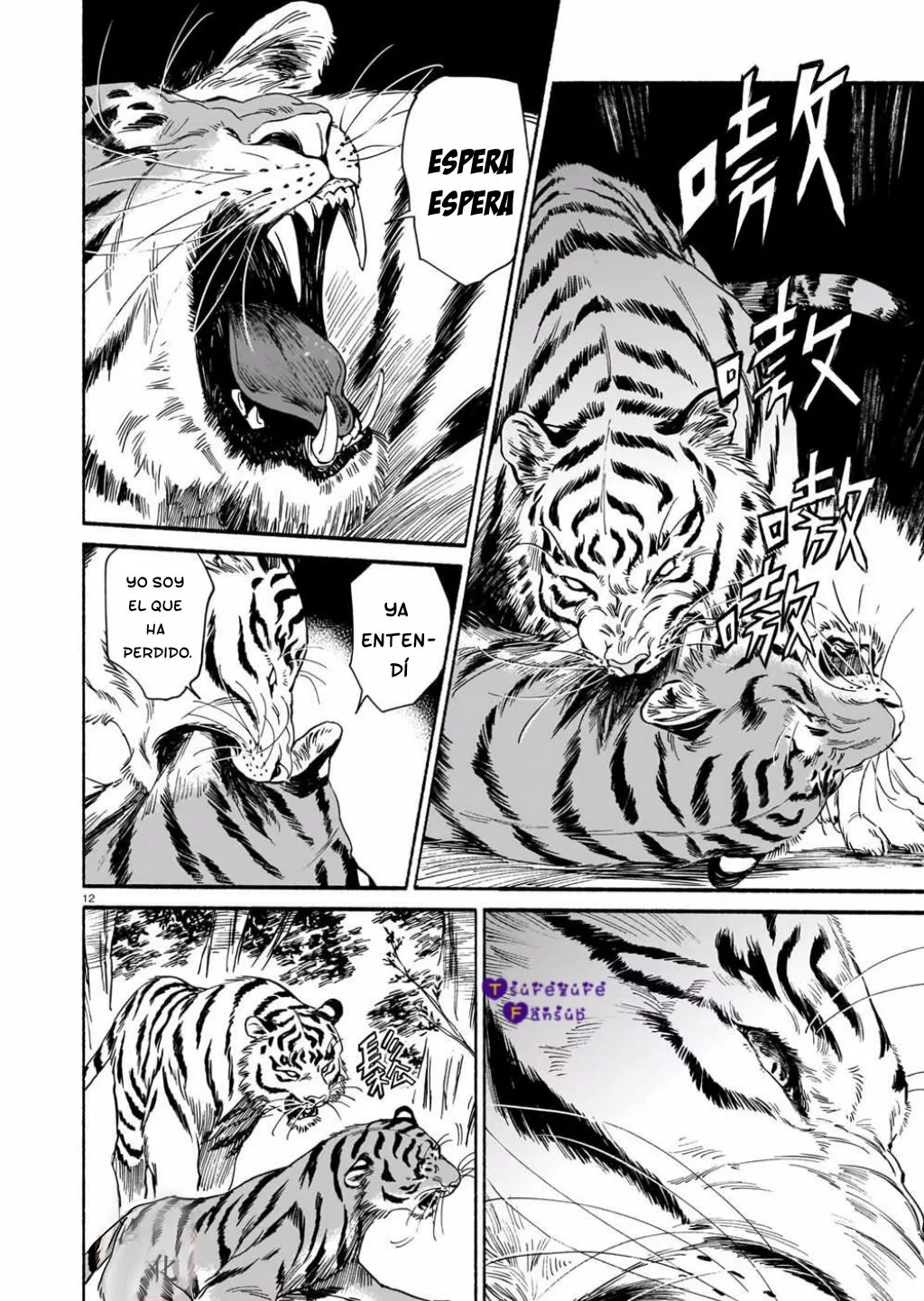 Página 13 del Manga