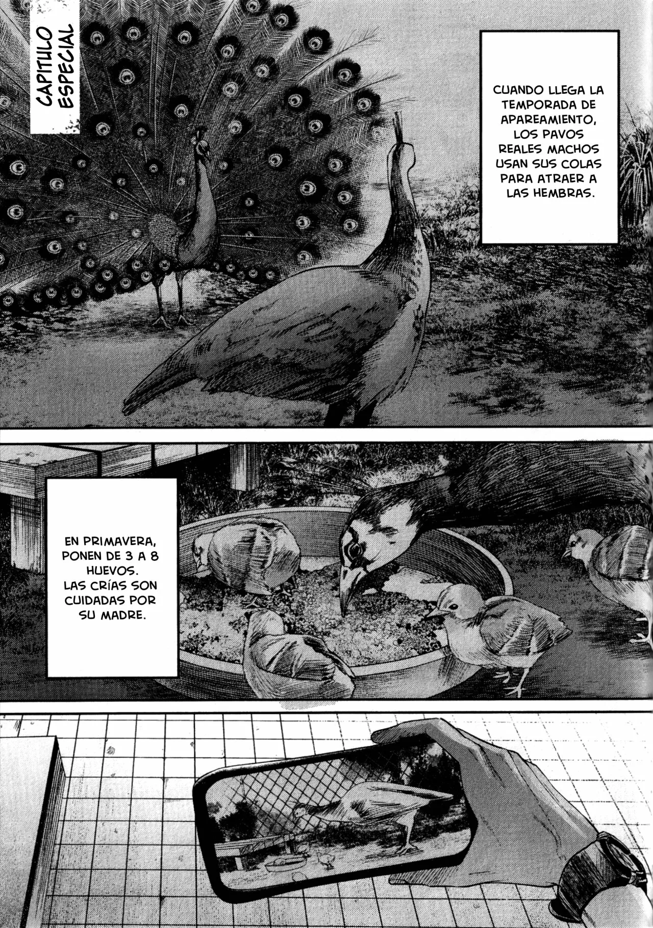 Página 2 del Manga