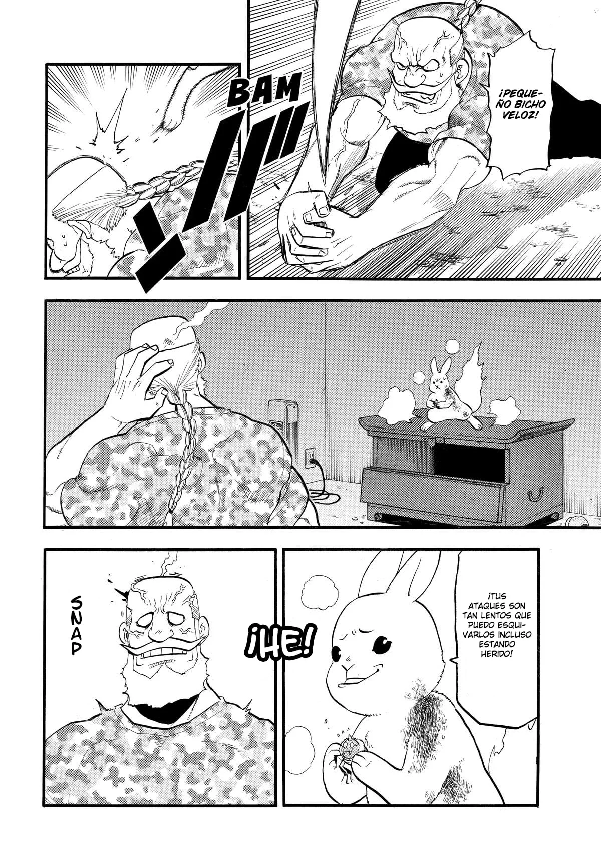 Página 13 del Manga