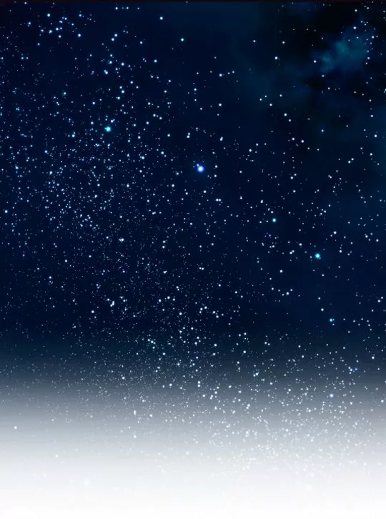 Página 58 del Manga