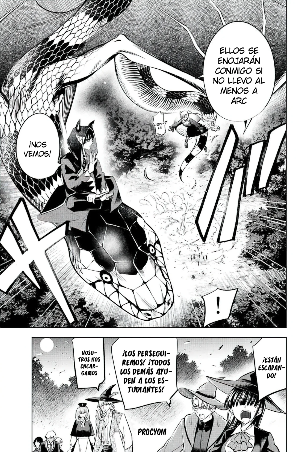 Página 14 del Manga