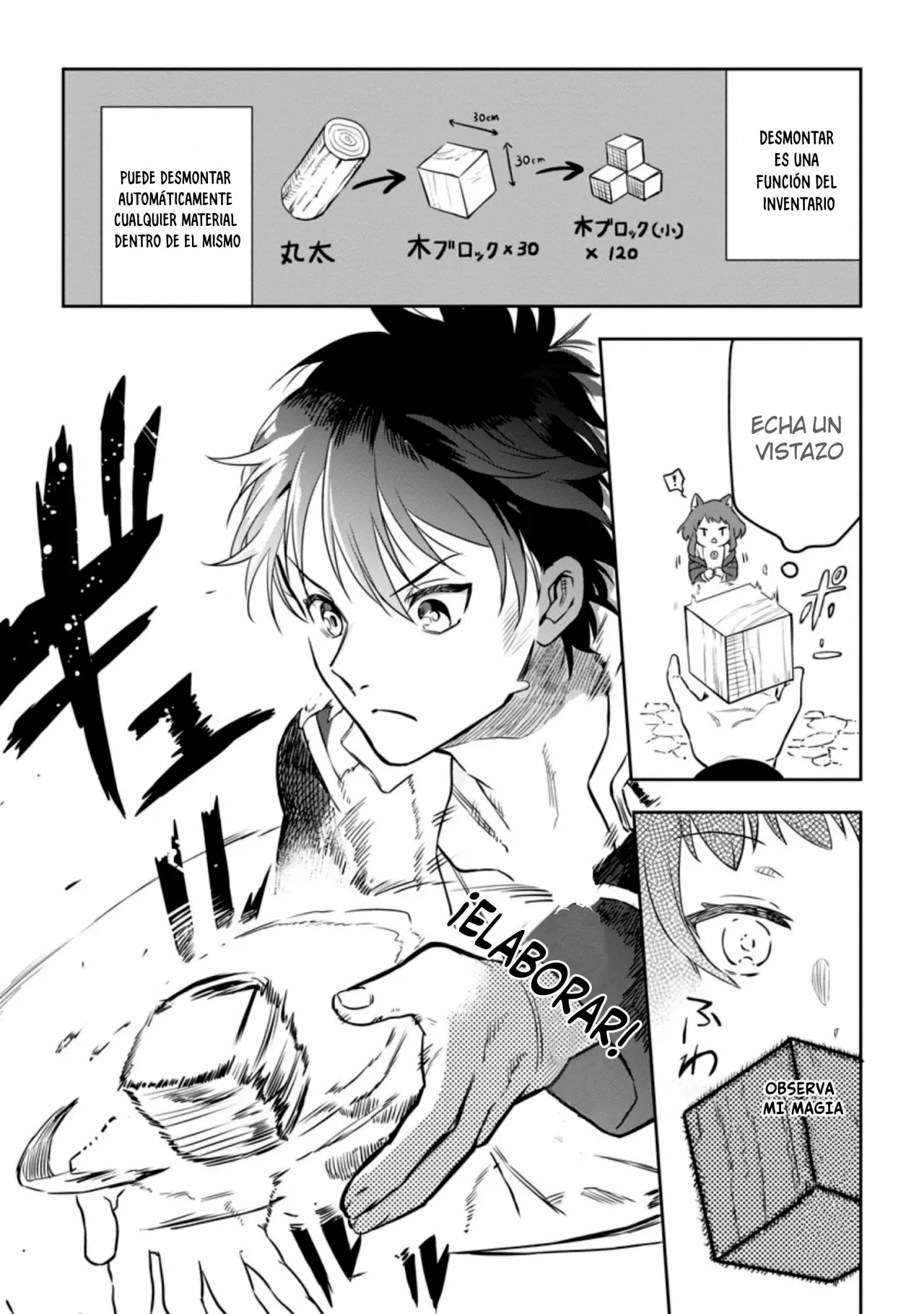 Página 14 del Manga
