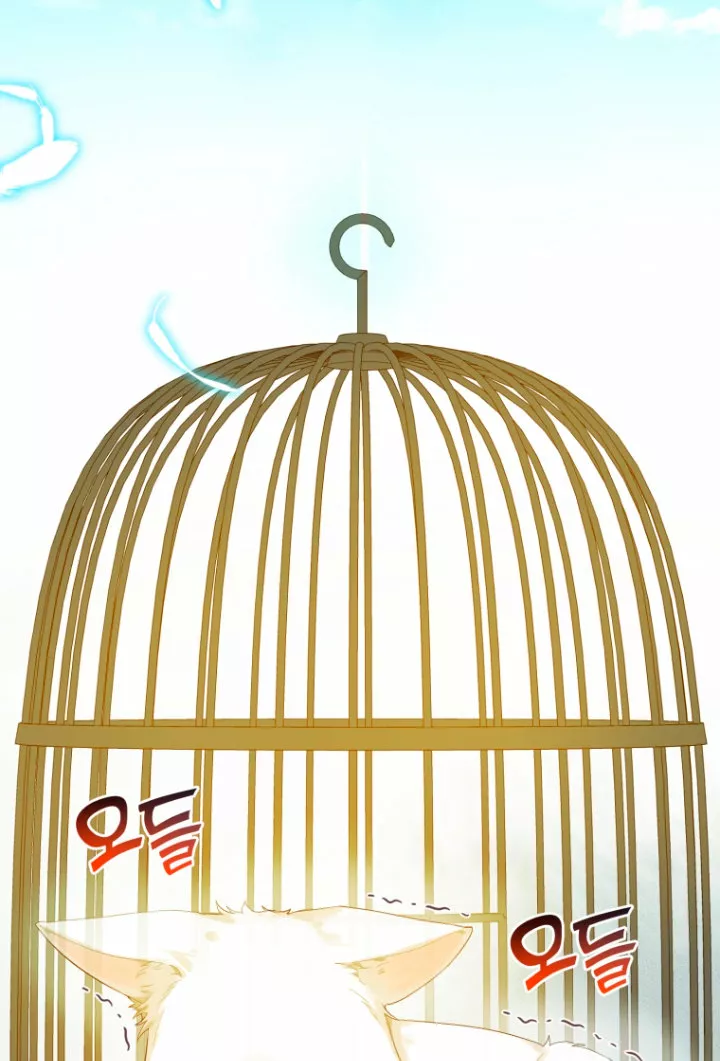 Página 81 del Manga