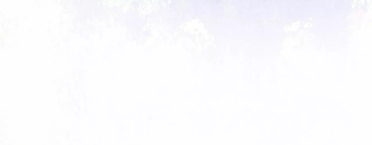 Página 81 del Manga