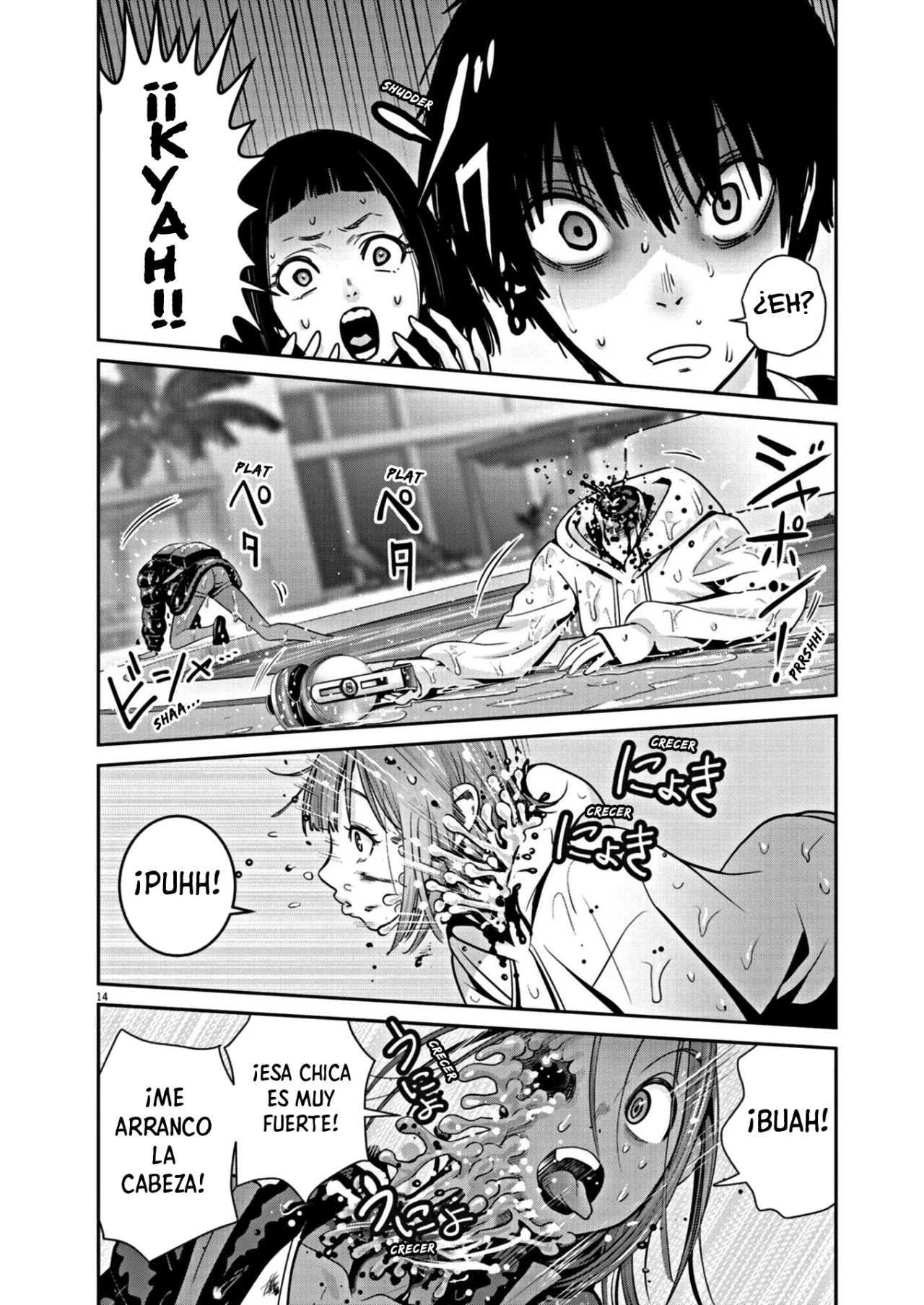 Página 14 del Manga