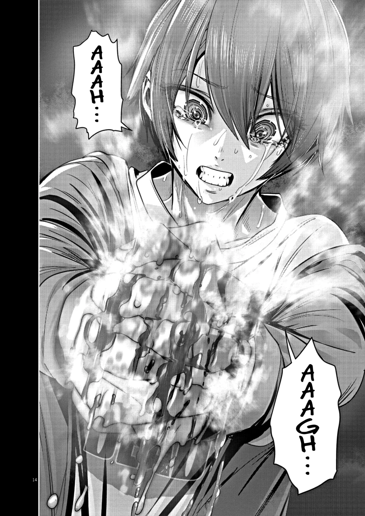 Página 14 del Manga