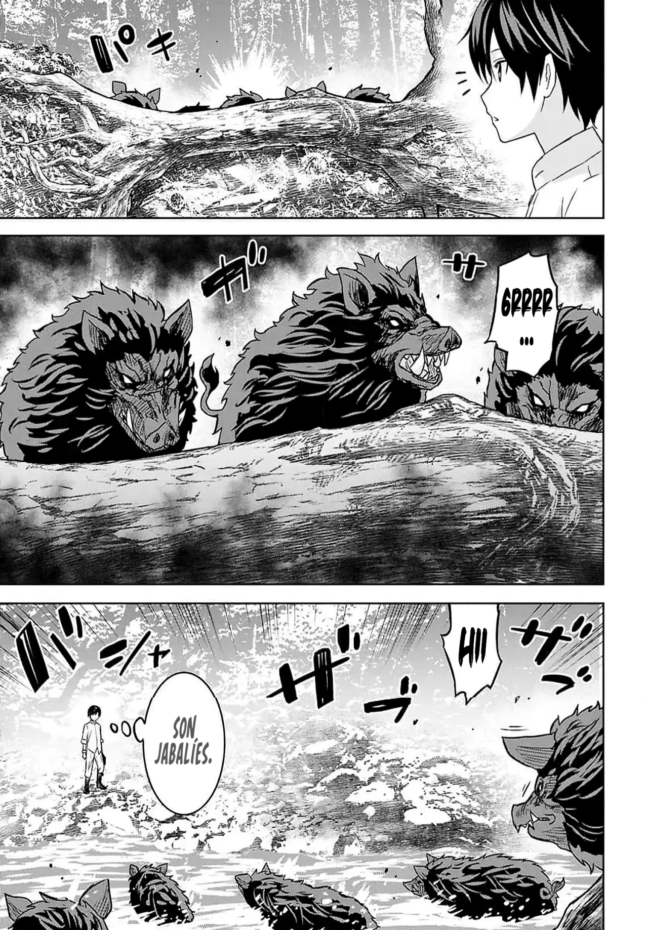 Página 13 del Manga