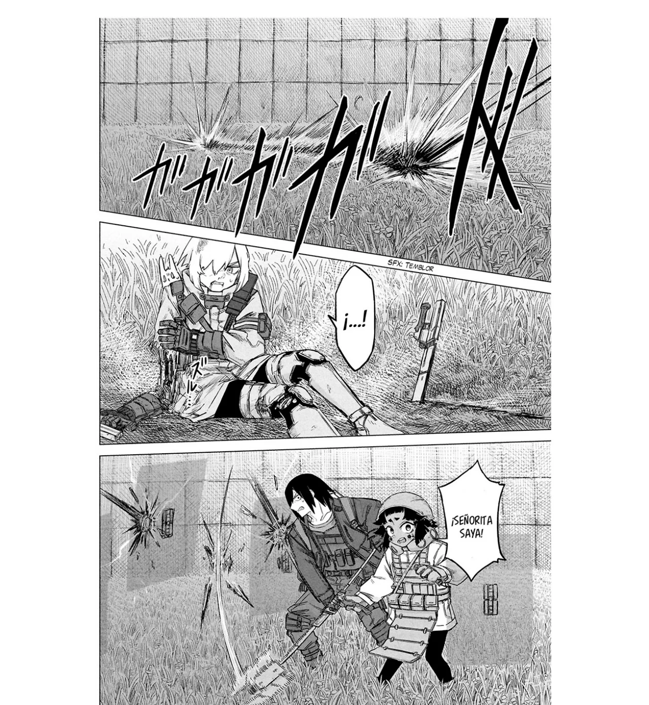 Página 19 del Manga