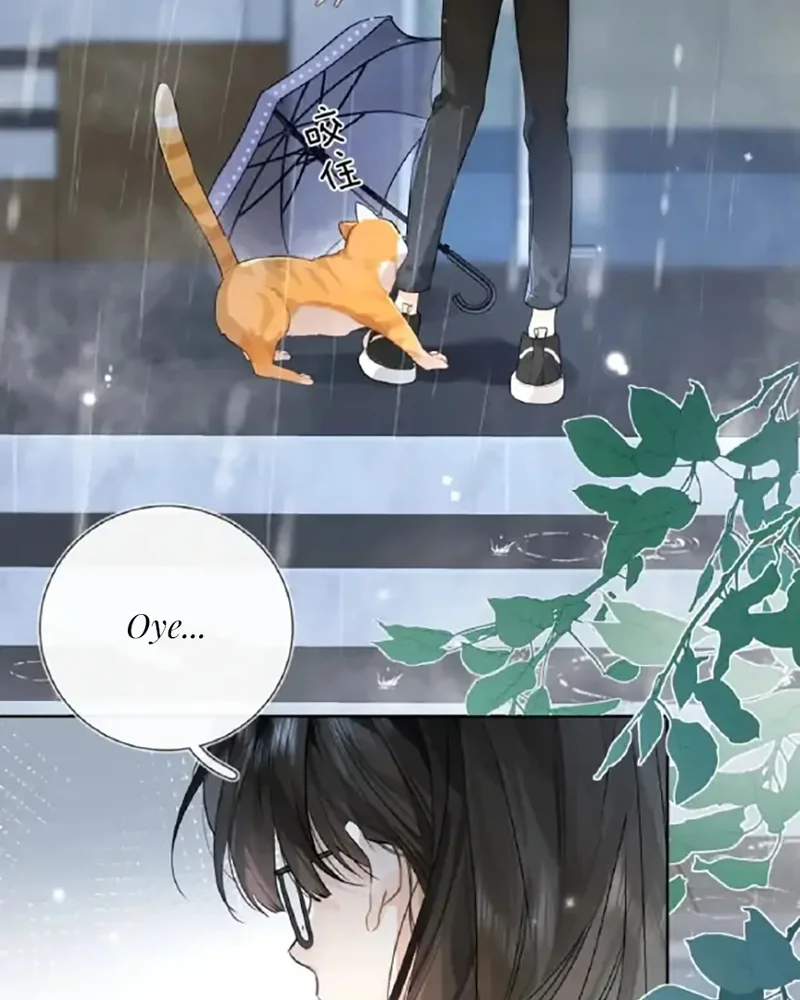 Página 45 del Manga